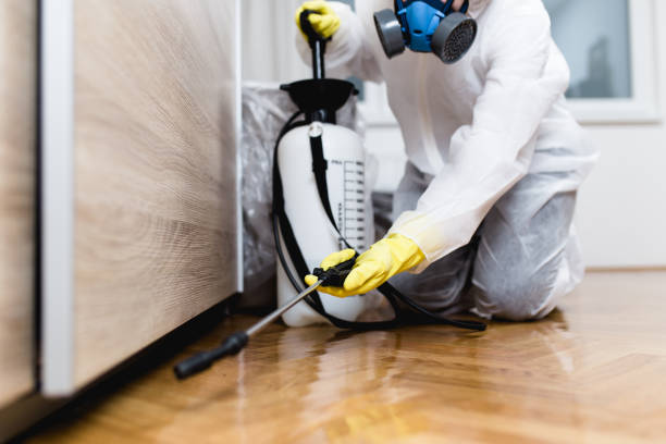 Best Bed Bug Extermination  in Landis, NC