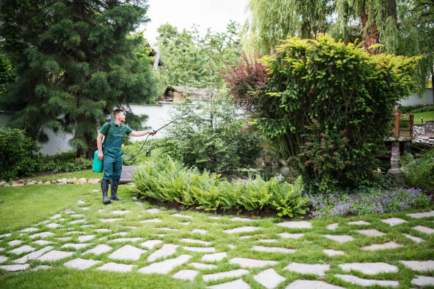 Best Pest Inspection Near Me  in Landis, NC