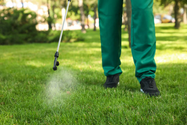 Best Bed Bug Extermination  in Landis, NC