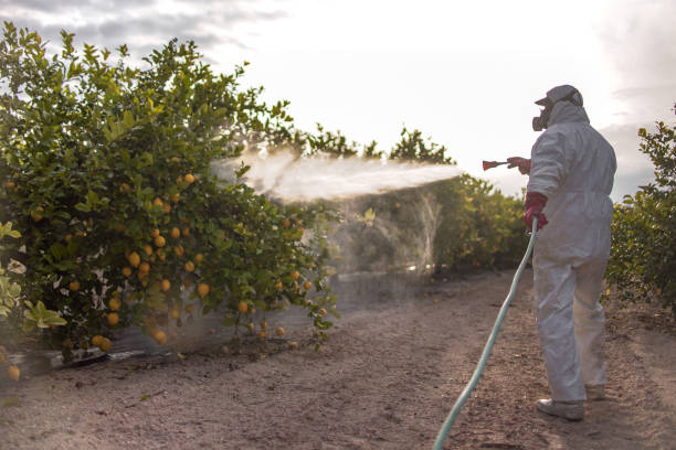 Best Best Pest Control Companies  in Landis, NC