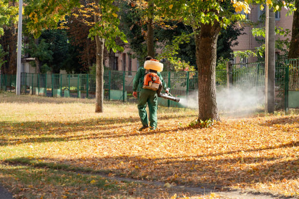 Best Emergency Pest Control  in Landis, NC